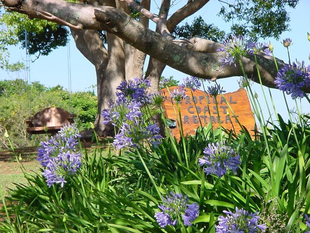 Tropical Coast Retreat - Pet Friendly - Adult Only Guest House Kingscliff Eksteriør bilde