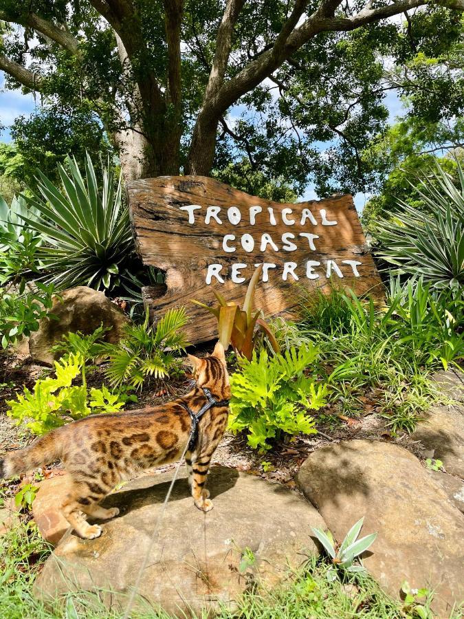 Tropical Coast Retreat - Pet Friendly - Adult Only Guest House Kingscliff Eksteriør bilde