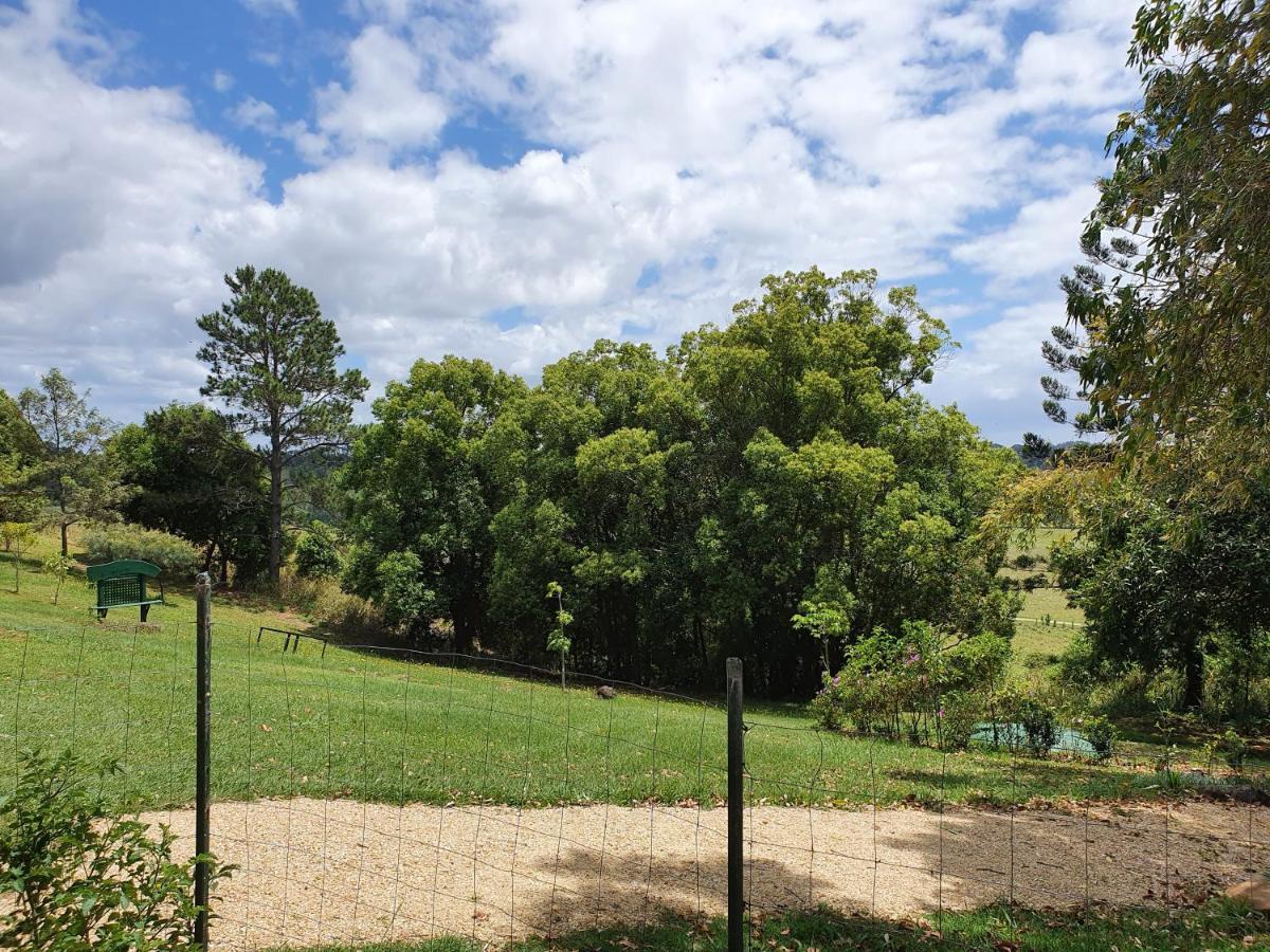 Tropical Coast Retreat - Pet Friendly - Adult Only Guest House Kingscliff Eksteriør bilde