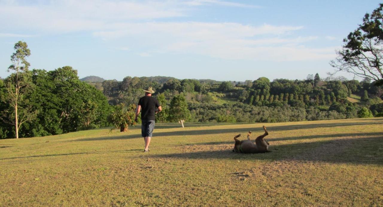 Tropical Coast Retreat - Pet Friendly - Adult Only Guest House Kingscliff Eksteriør bilde