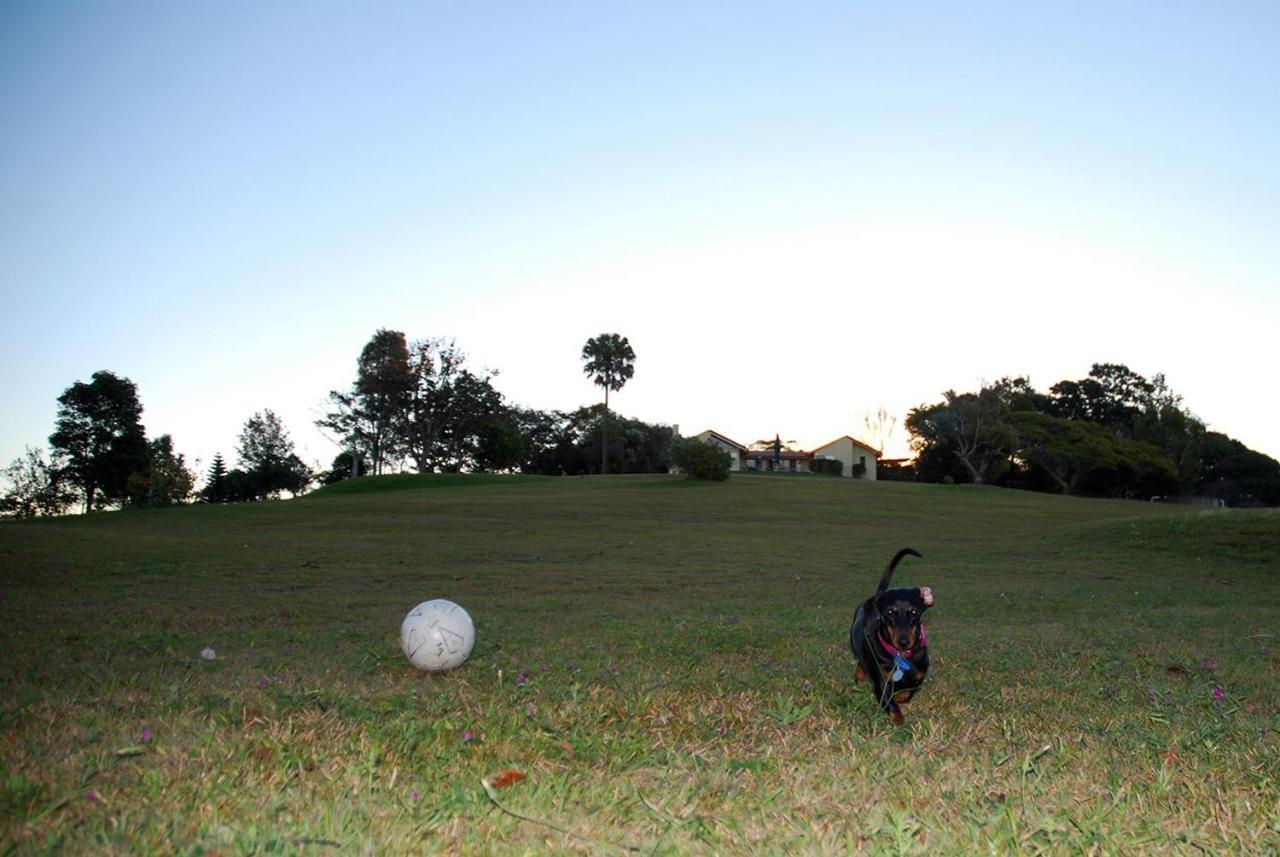 Tropical Coast Retreat - Pet Friendly - Adult Only Guest House Kingscliff Eksteriør bilde