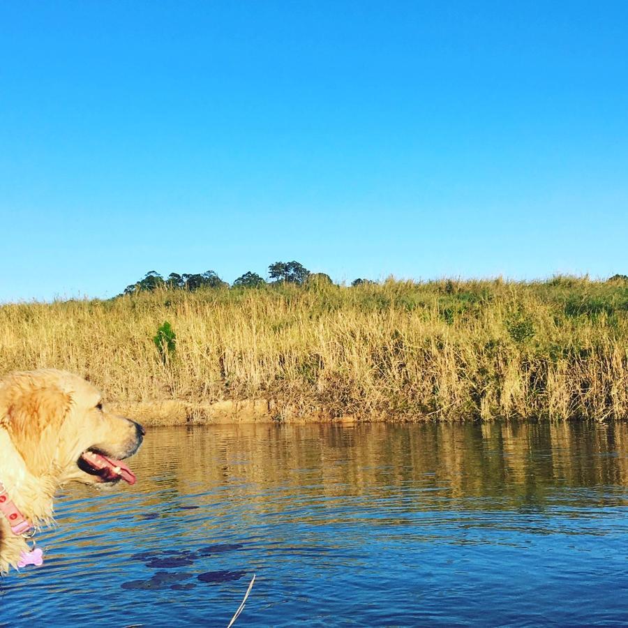 Tropical Coast Retreat - Pet Friendly - Adult Only Guest House Kingscliff Eksteriør bilde