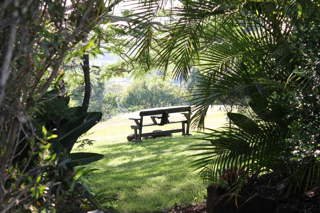 Tropical Coast Retreat - Pet Friendly - Adult Only Guest House Kingscliff Eksteriør bilde