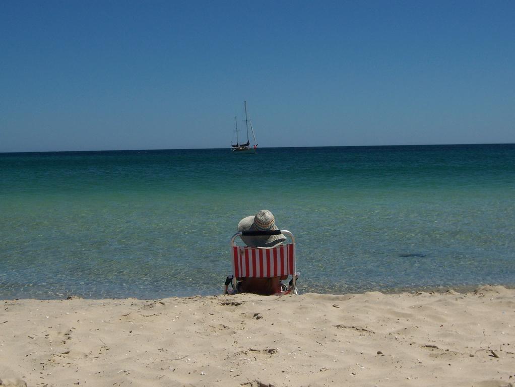 Tropical Coast Retreat - Pet Friendly - Adult Only Guest House Kingscliff Eksteriør bilde