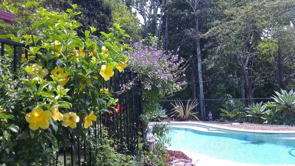 Tropical Coast Retreat - Pet Friendly - Adult Only Guest House Kingscliff Eksteriør bilde