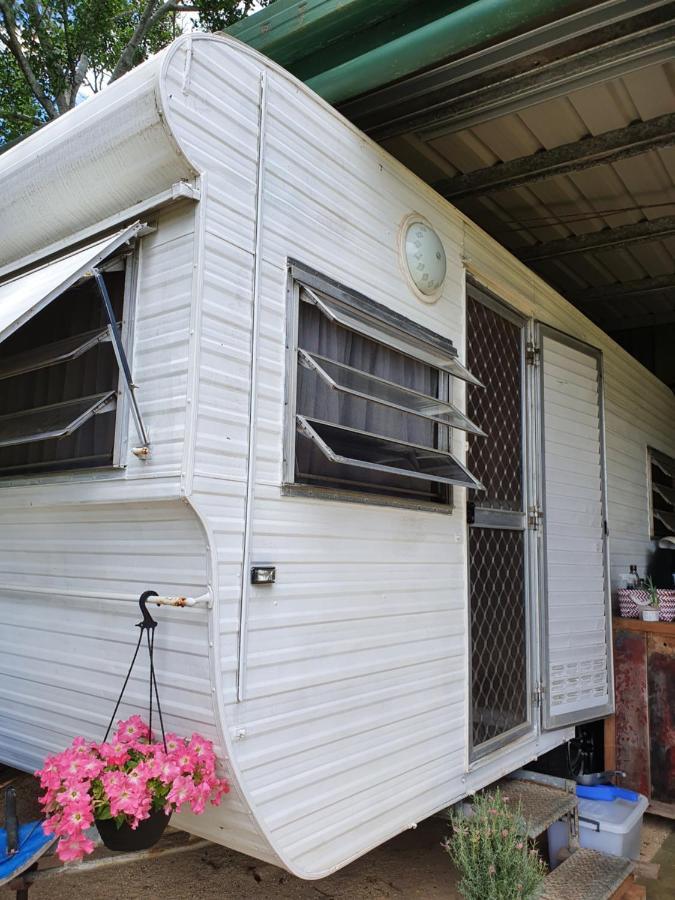 Tropical Coast Retreat - Pet Friendly - Adult Only Guest House Kingscliff Rom bilde