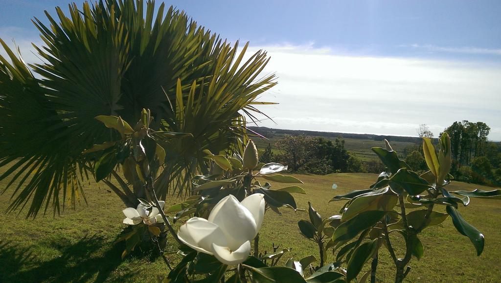 Tropical Coast Retreat - Pet Friendly - Adult Only Guest House Kingscliff Eksteriør bilde